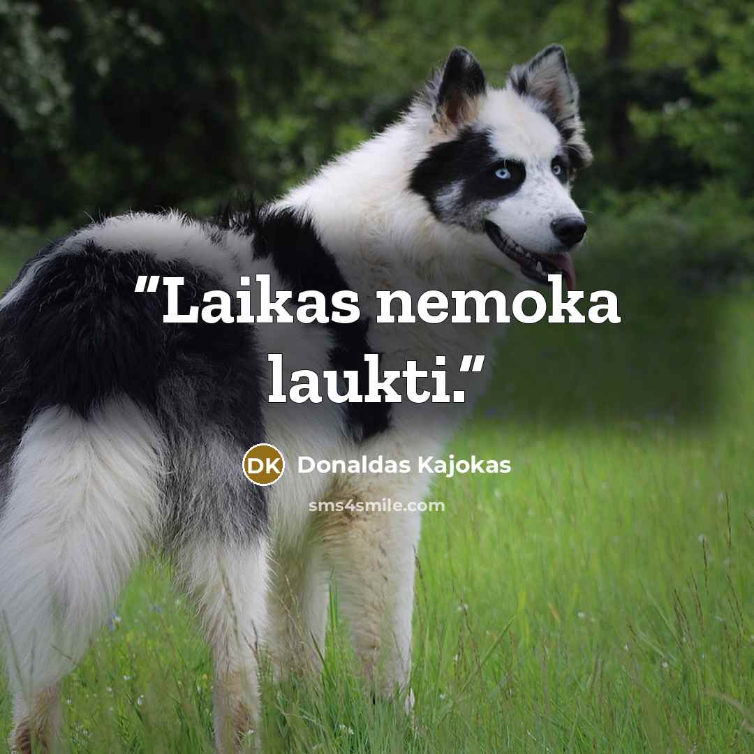 “Laikas nemoka laukti.” quote by Donaldas Kajokas