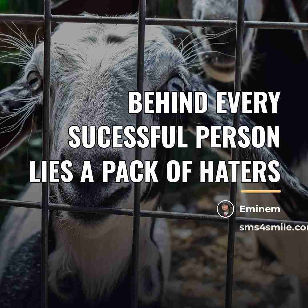 “Behind every sucessful person lies a pack of haters…” quote by Eminem