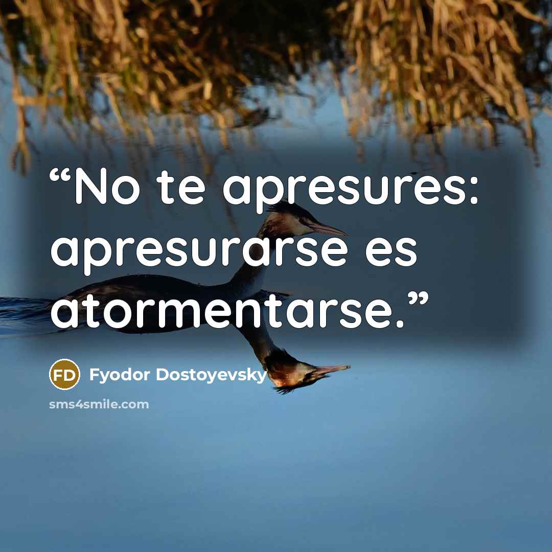 “No te apresures: apresurarse es atormentarse.” quote by Fyodor Dostoyevsky