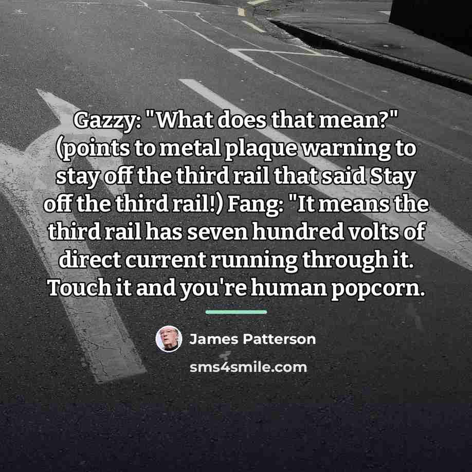 “Gazzy: "What does that mean?" (points to metal plaque warning…” quote by James Patterson
