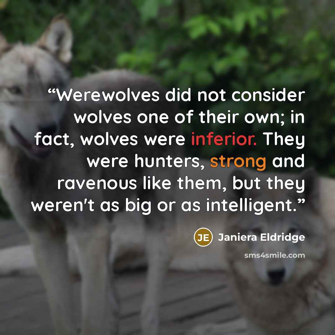 “Werewolves did not consider wolves one of their own; in fact, wolves were inferior. They were hunters, strong and ravenous like them, but they weren't as big or as intelligent.” quote by Janiera Eldridge