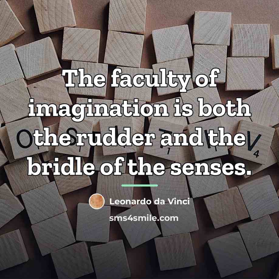 “The faculty of imagination is both the rudder and the…” quote by Leonardo da Vinci