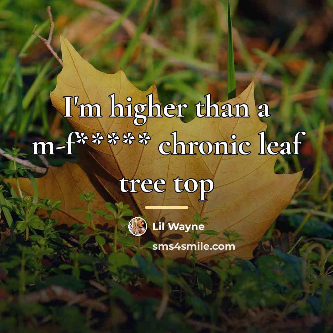 “I'm higher than a m-f***** chronic leaf tree top…” quote by Lil Wayne