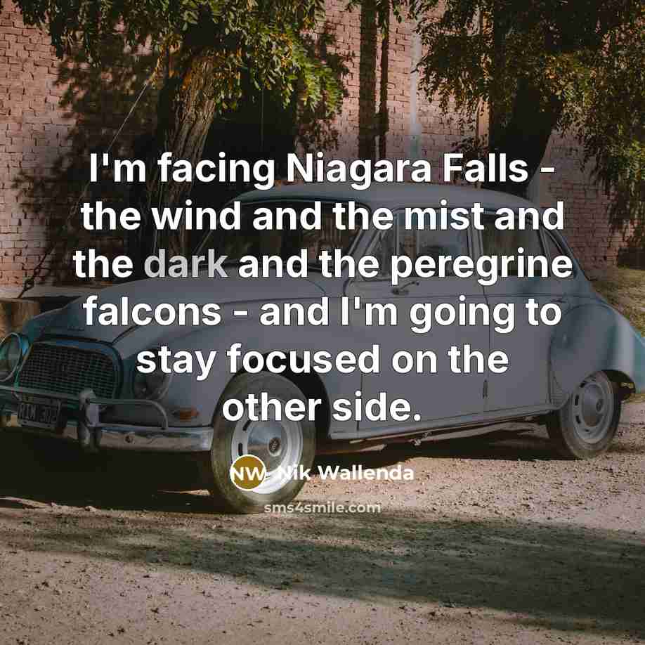 “I'm facing Niagara Falls - the wind and the mist…” quote by Nik Wallenda