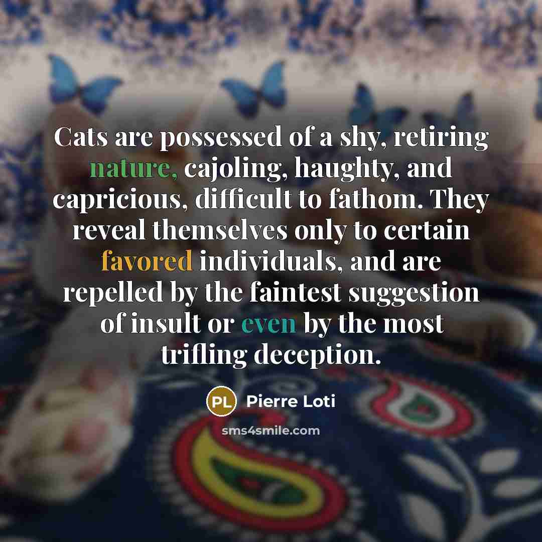 “Cats are possessed of a shy, retiring nature, cajoling, haughty,…” quote by Pierre Loti