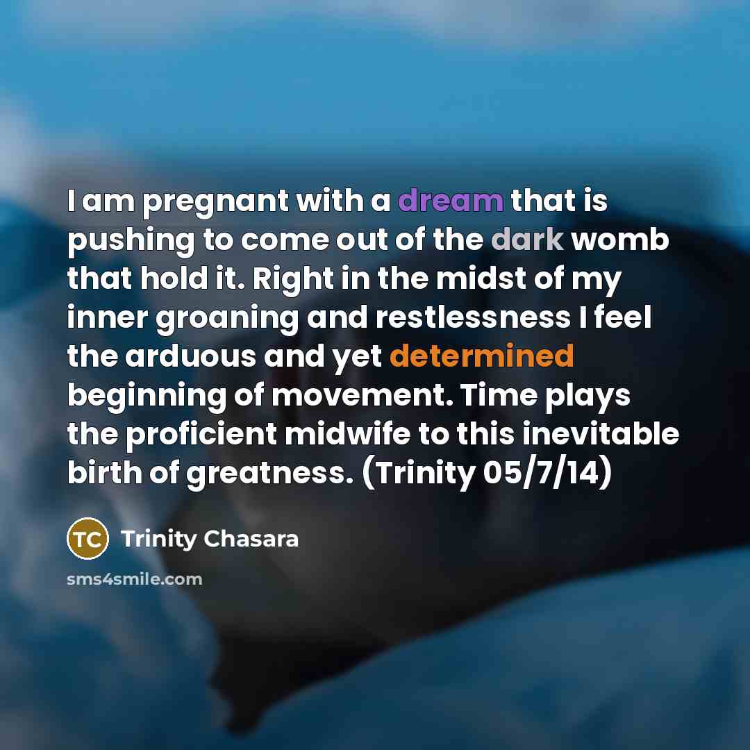 “I am pregnant with a dream that is pushing to come out of the dark womb that hold it. Right in the midst of my inner groaning and restlessness I feel the arduous and yet determined beginning of movement. Time plays the proficient midwife to this inevitable birth of greatness. (Trinity 05/7/14)” quote by Trinity Chasara