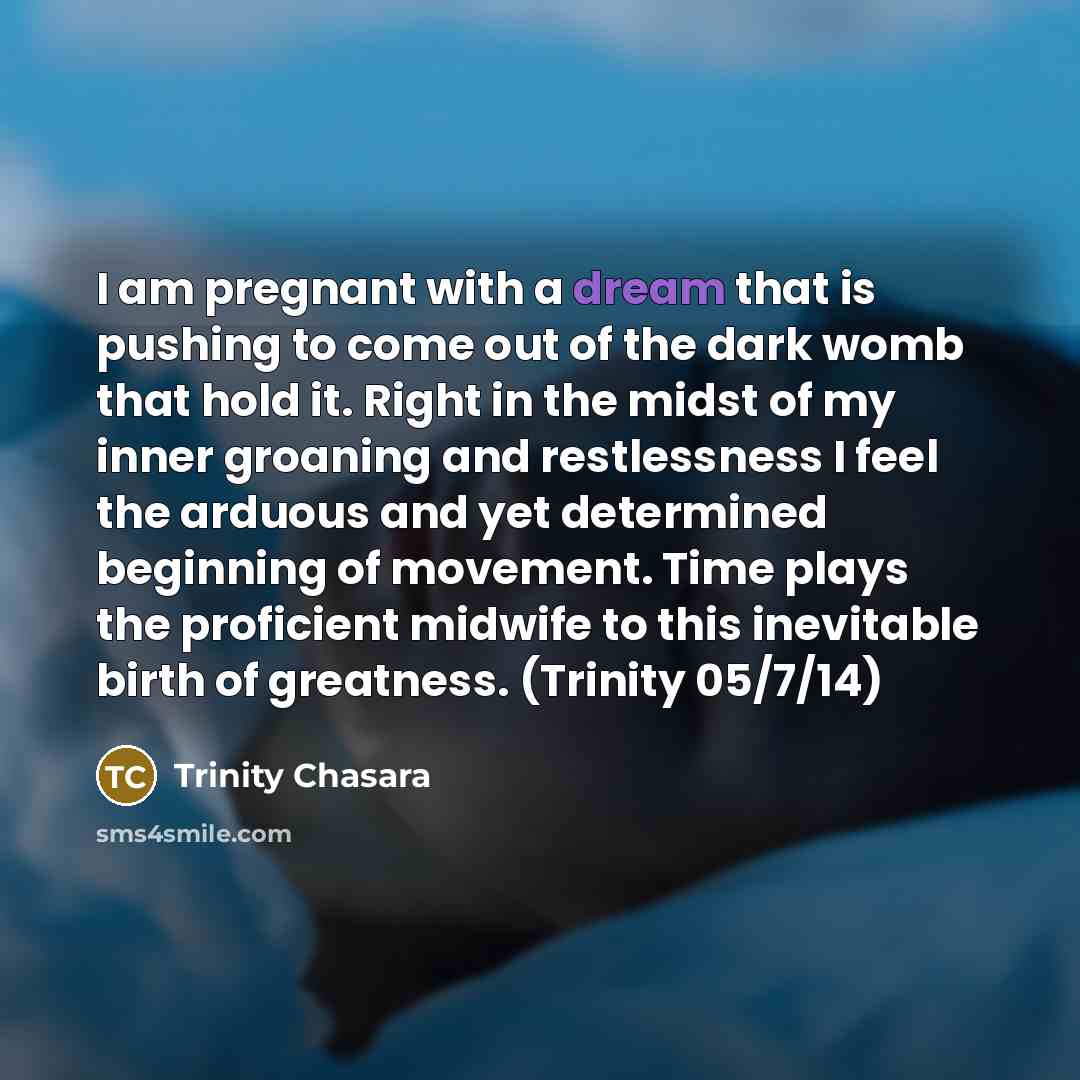 “I am pregnant with a dream that is pushing to…” quote by Trinity Chasara