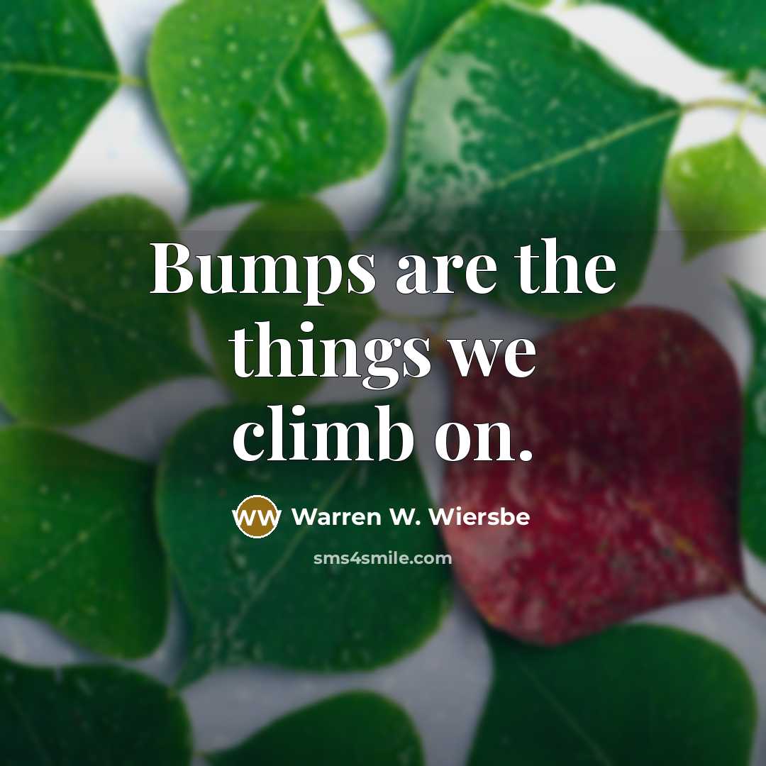 “Bumps are the things we climb on.…” quote by Warren W. Wiersbe