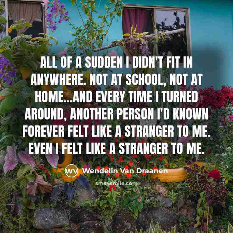 “All of a sudden I didn't fit in anywhere. Not…” quote by Wendelin Van Draanen