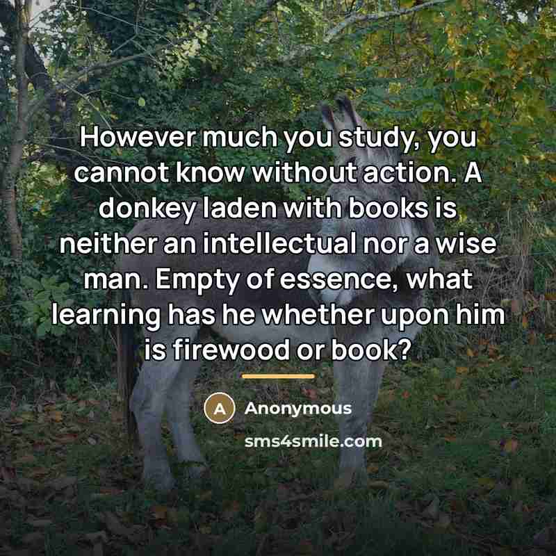 “However much you study, you cannot know without action. A…” quote by Anonymous