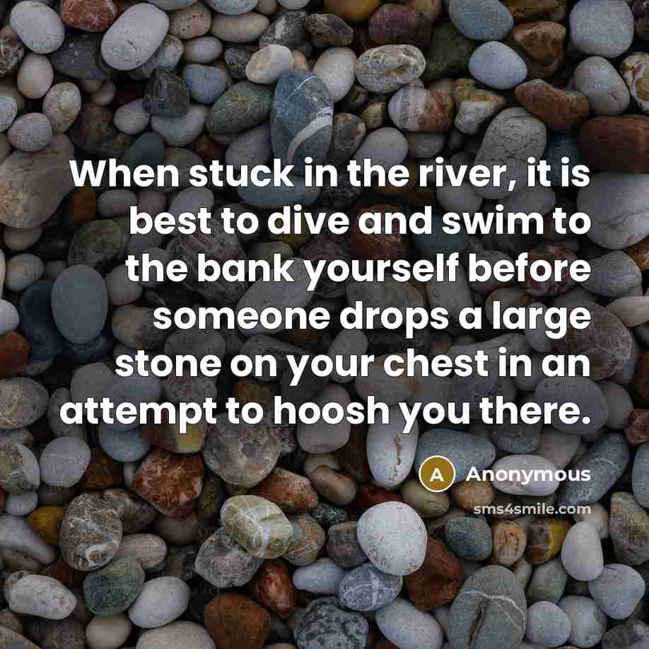 “When stuck in the river, it is best to dive and swim to the bank yourself before someone drops a large stone on your chest in an attempt to hoosh you there.” quote by Anonymous
