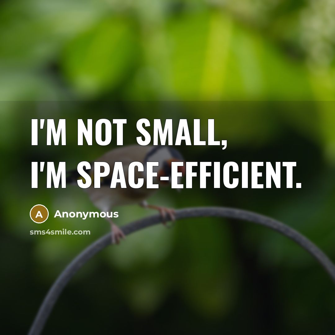 “I'm not small, I'm space-efficient.” quote by Anonymous