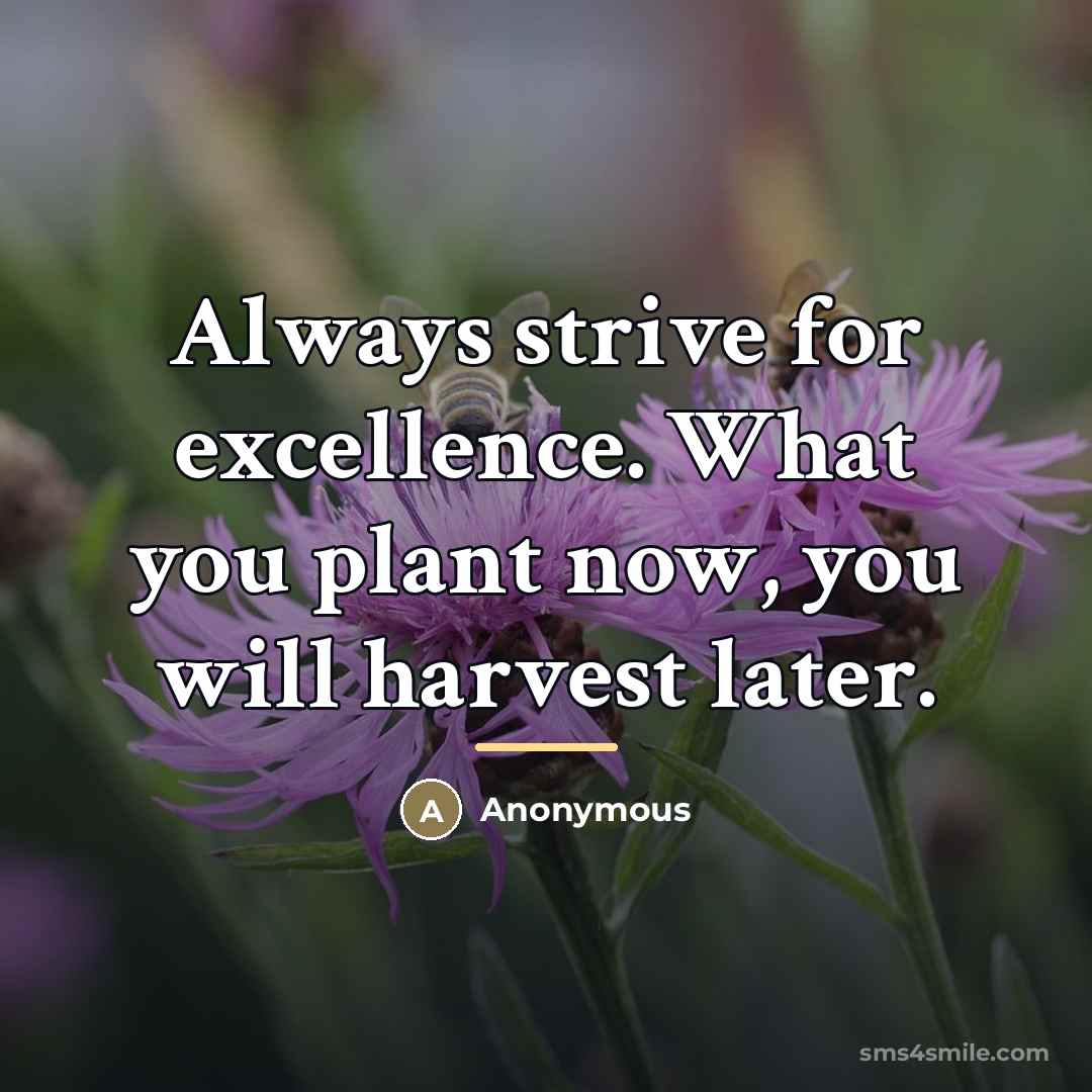 “Always strive for excellence. What you plant now, you will…” quote by Anonymous
