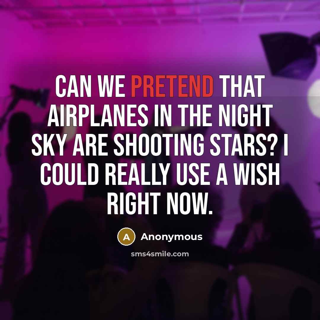“Can we pretend that airplanes in the night sky are…” quote by Anonymous