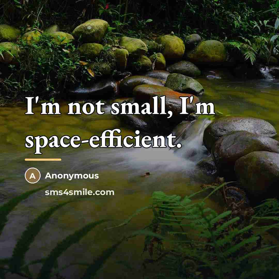 “I'm not small, I'm space-efficient.…” quote by Anonymous
