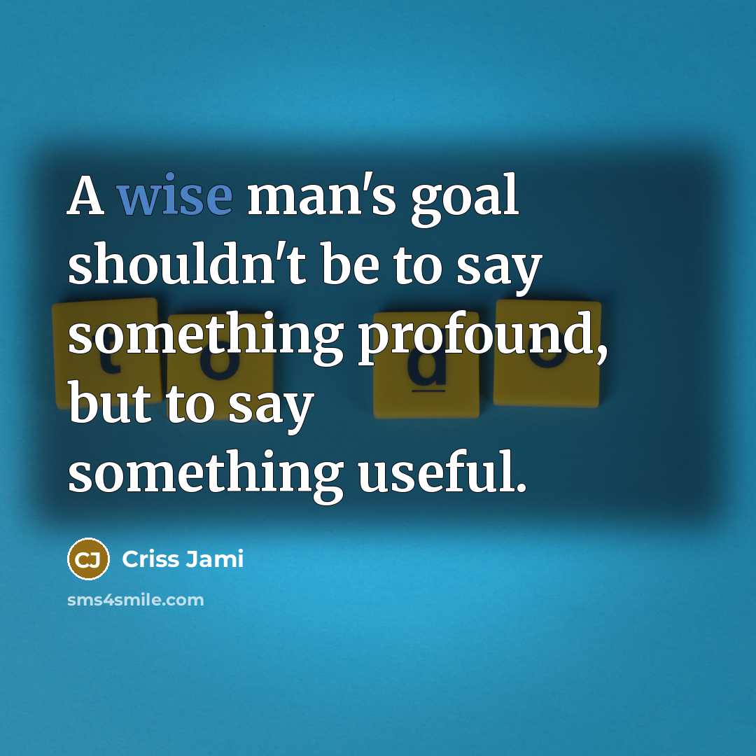 “A wise man's goal shouldn't be to say something profound,…” quote by Criss Jami