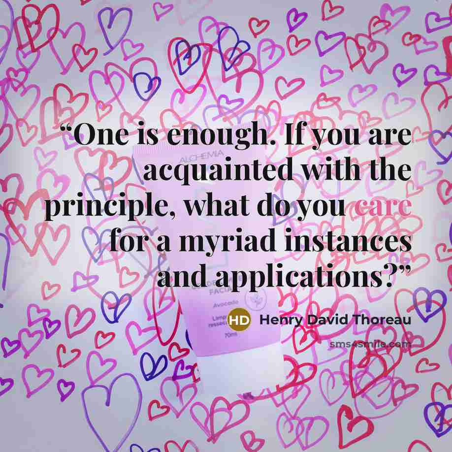 “One is enough. If you are acquainted with the principle, what do you care for a myriad instances and applications?” quote by Henry David Thoreau