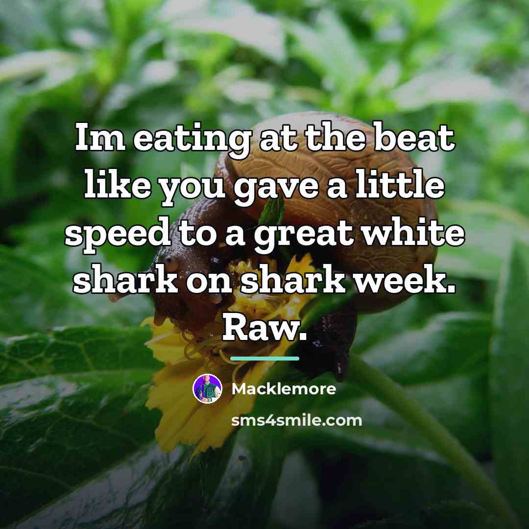 “Im eating at the beat like you gave a little…” quote by Macklemore
