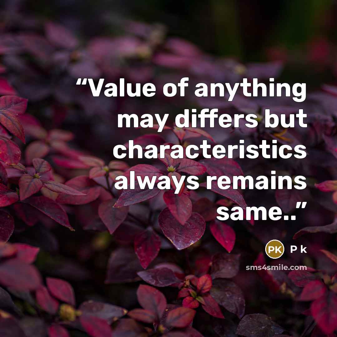 “Value of anything may differs but characteristics always remains same..” quote by P k