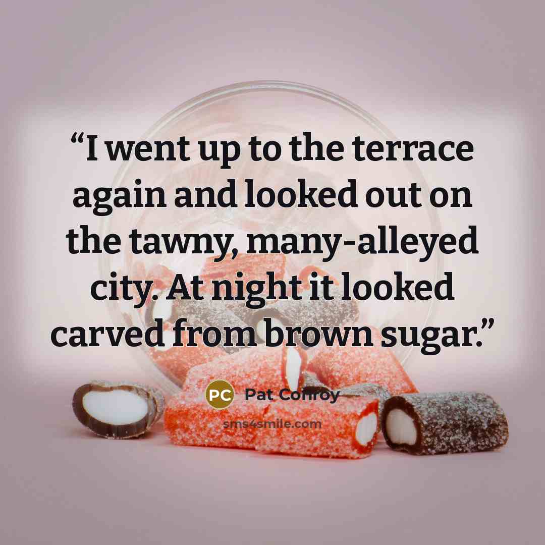 “I went up to the terrace again and looked out on the tawny, many-alleyed city. At night it looked carved from brown sugar.” quote by Pat Conroy
