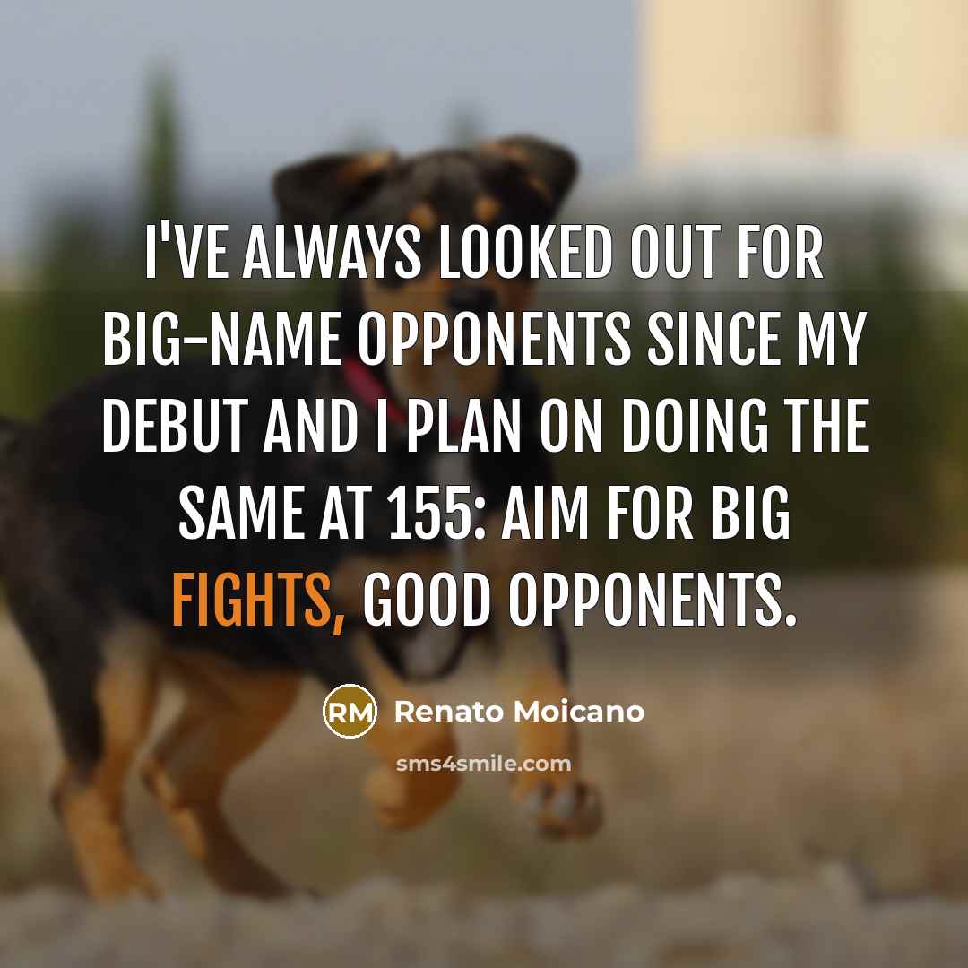 “I've always looked out for big-name opponents since my debut…” quote by Renato Moicano