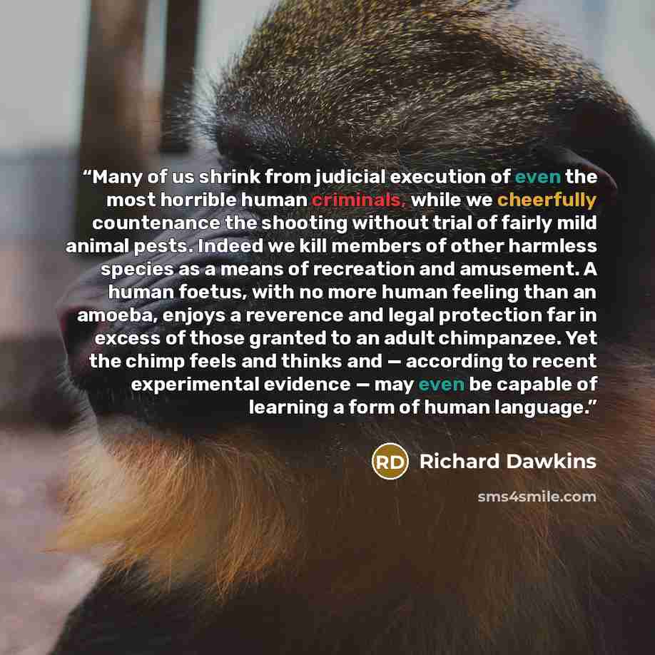 “Many of us shrink from judicial execution of even the most horrible human criminals, while we cheerfully countenance the shooting without trial of fairly mild animal pests. Indeed we kill members of other harmless species as a means of recreation and amusement. A human foetus, with no more human…” quote by Richard Dawkins