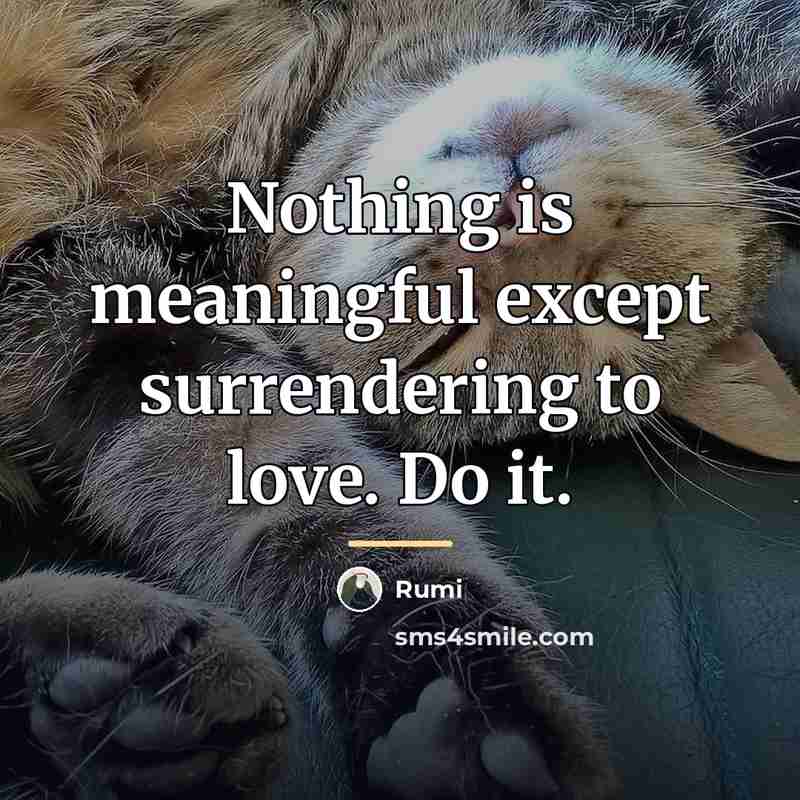 “Nothing is meaningful except surrendering to love. Do it.…” quote by Rumi
