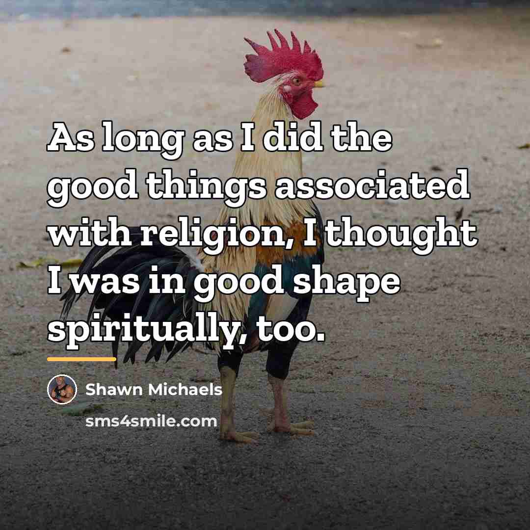 “As long as I did the good things associated with…” quote by Shawn Michaels