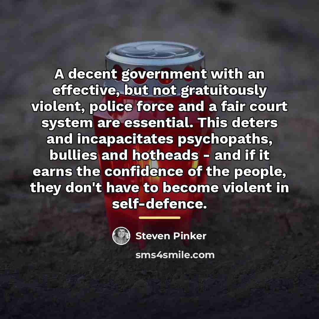 “A decent government with an effective, but not gratuitously violent,…” quote by Steven Pinker