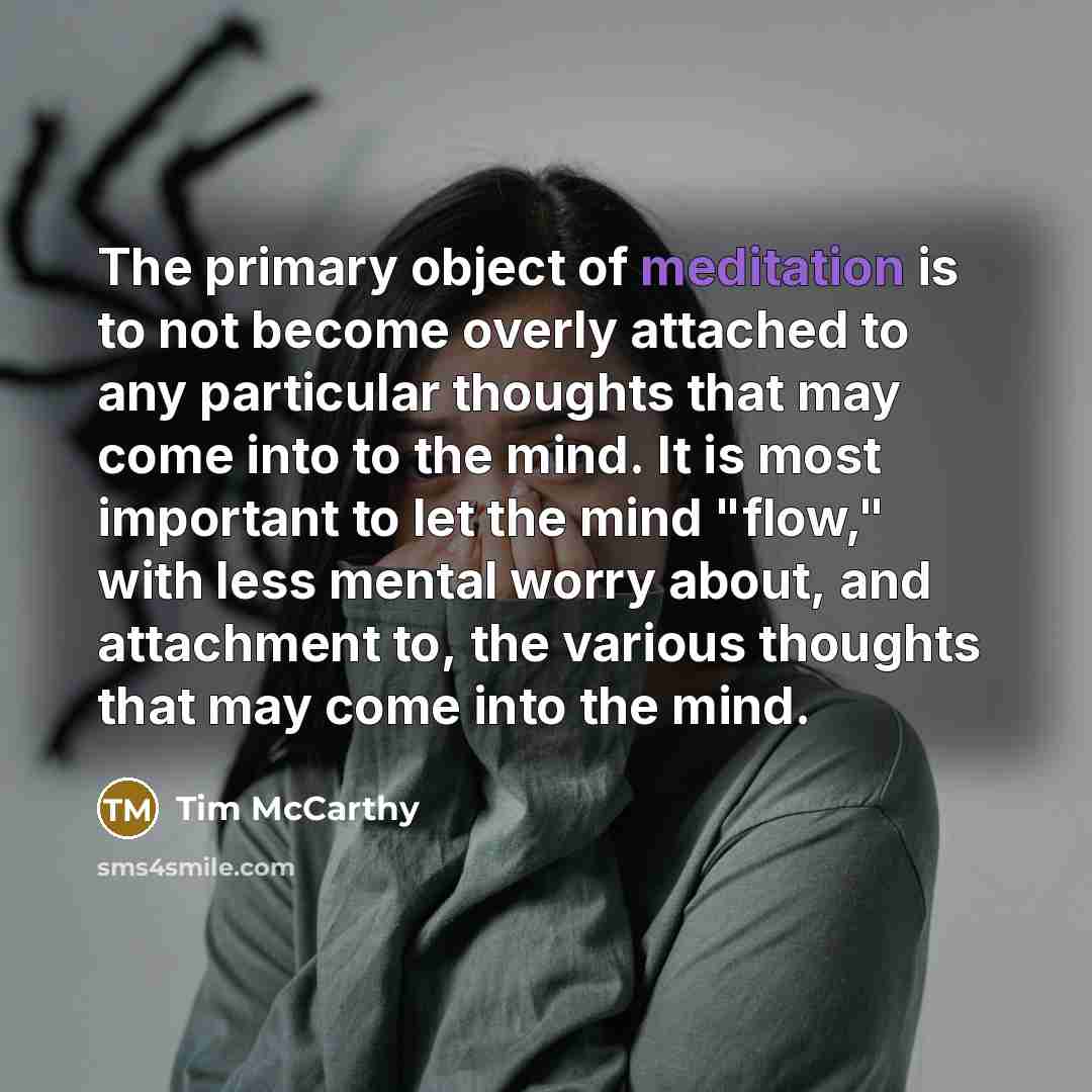 “The primary object of meditation is to not become overly…” quote by Tim McCarthy