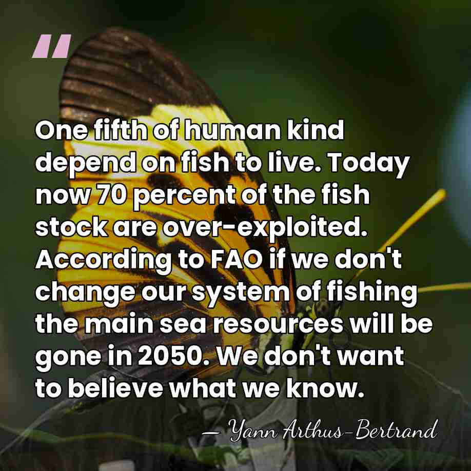 One fifth of human kind depend on fish to live. Today now&hellip; - Yann Arthus-Bertrand