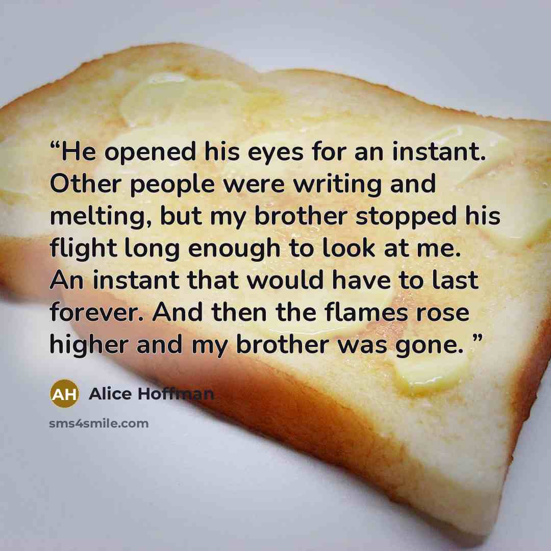 “He opened his eyes for an instant. Other people were writing and melting, but my brother stopped his flight long enough to look at me. An instant that would have to last forever. And then the flames rose higher and my brother was gone.” quote by Alice Hoffman
