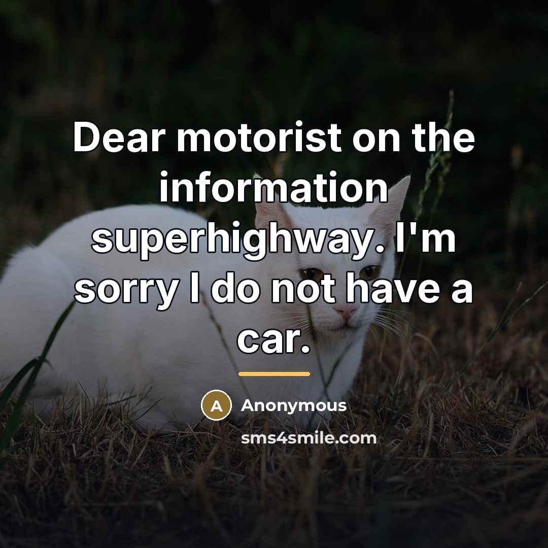 “Dear motorist on the information superhighway. I'm sorry I do…” quote by Anonymous
