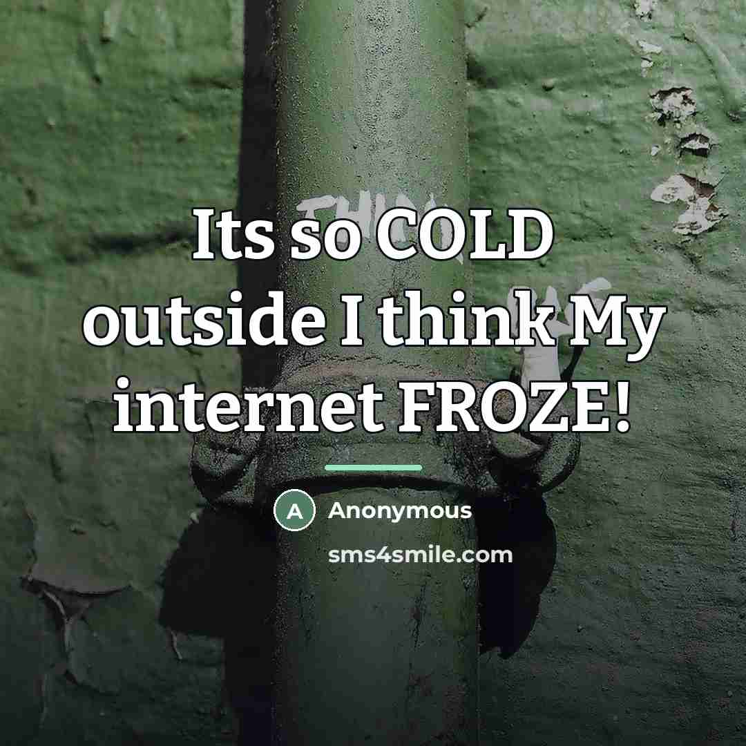 “Its so COLD outside I think My internet FROZE!…” quote by Anonymous