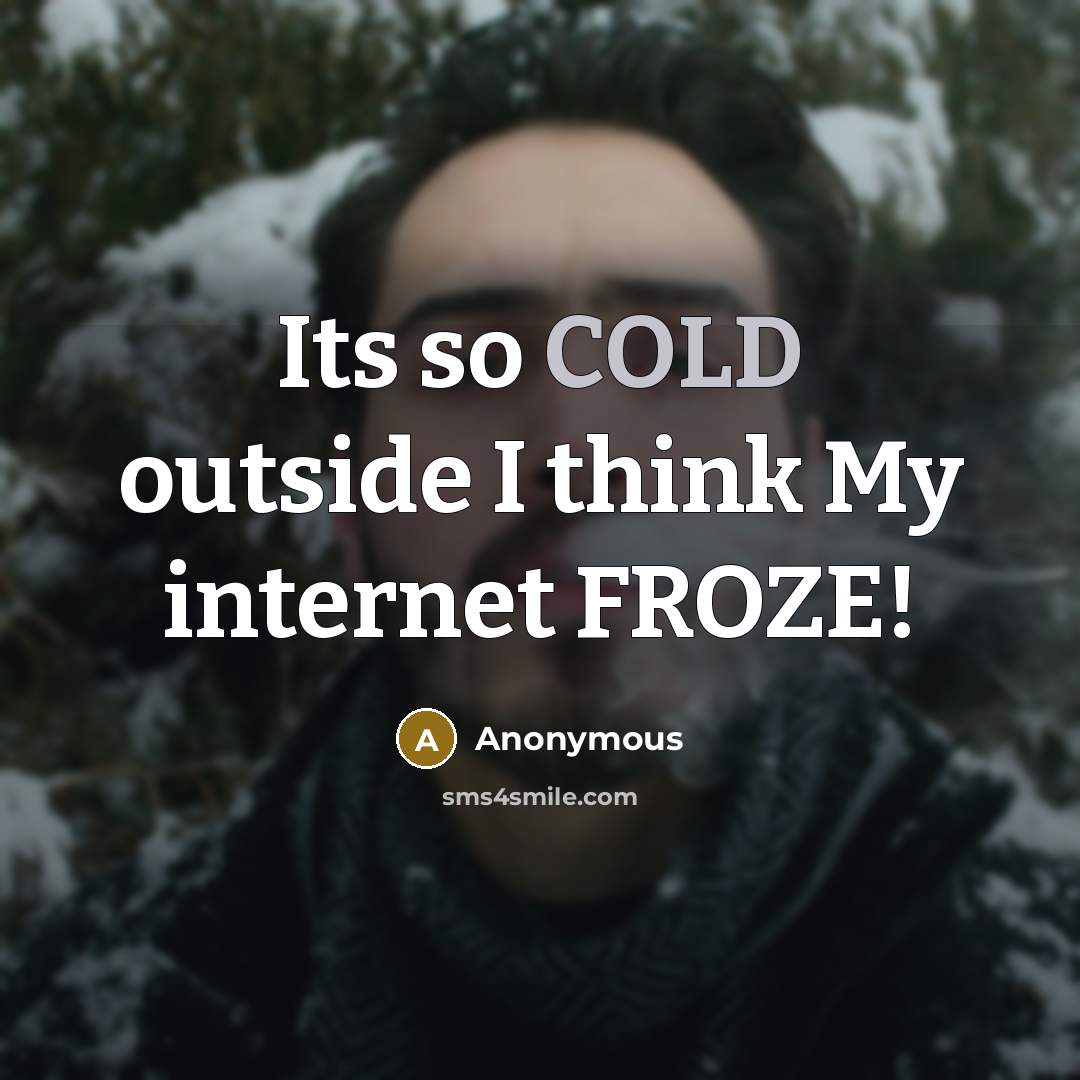 “Its so COLD outside I think My internet FROZE!” quote by Anonymous