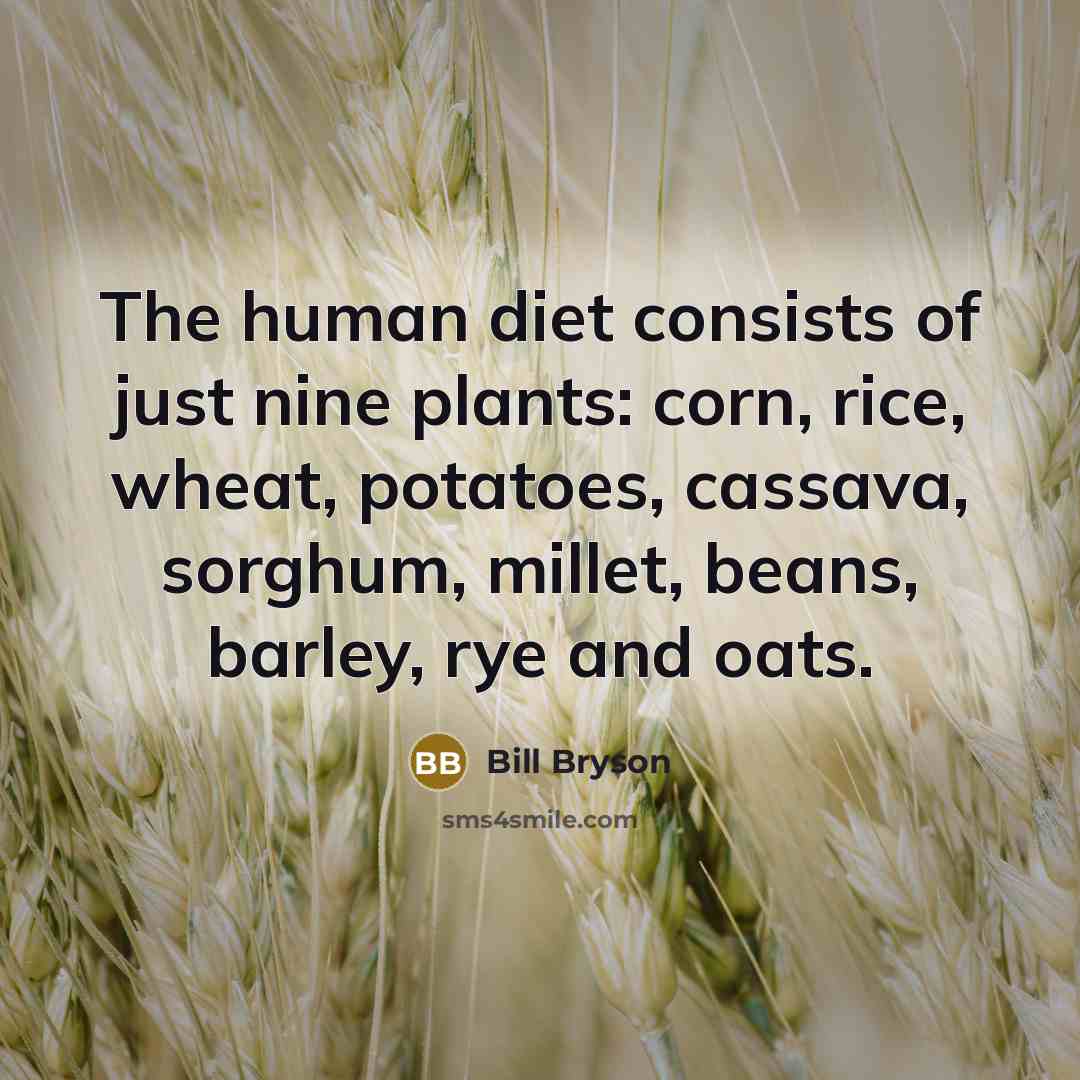 “The human diet consists of just nine plants: corn, rice,…” quote by Bill Bryson