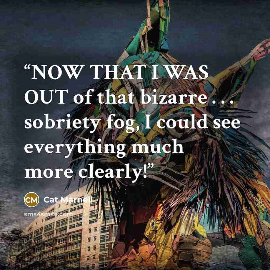 “NOW THAT I WAS OUT of that bizarre . . . sobriety fog, I could see everything much more clearly!” quote by Cat Marnell