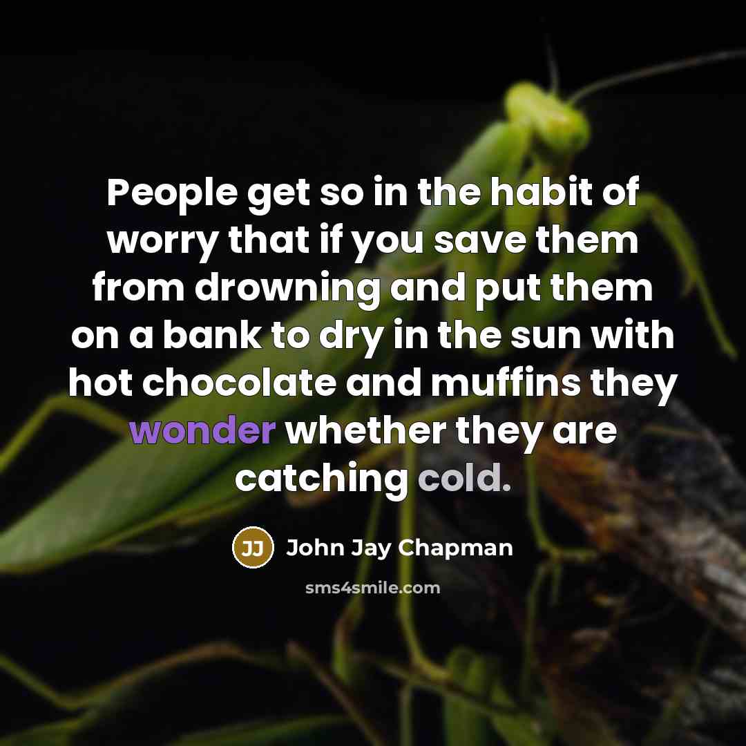 “People get so in the habit of worry that if…” quote by John Jay Chapman