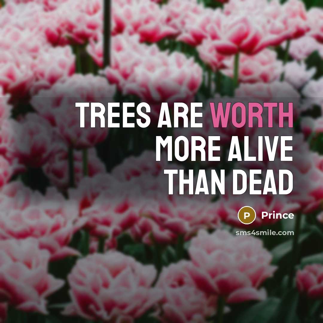 “Trees are worth more alive than dead…” quote by Prince