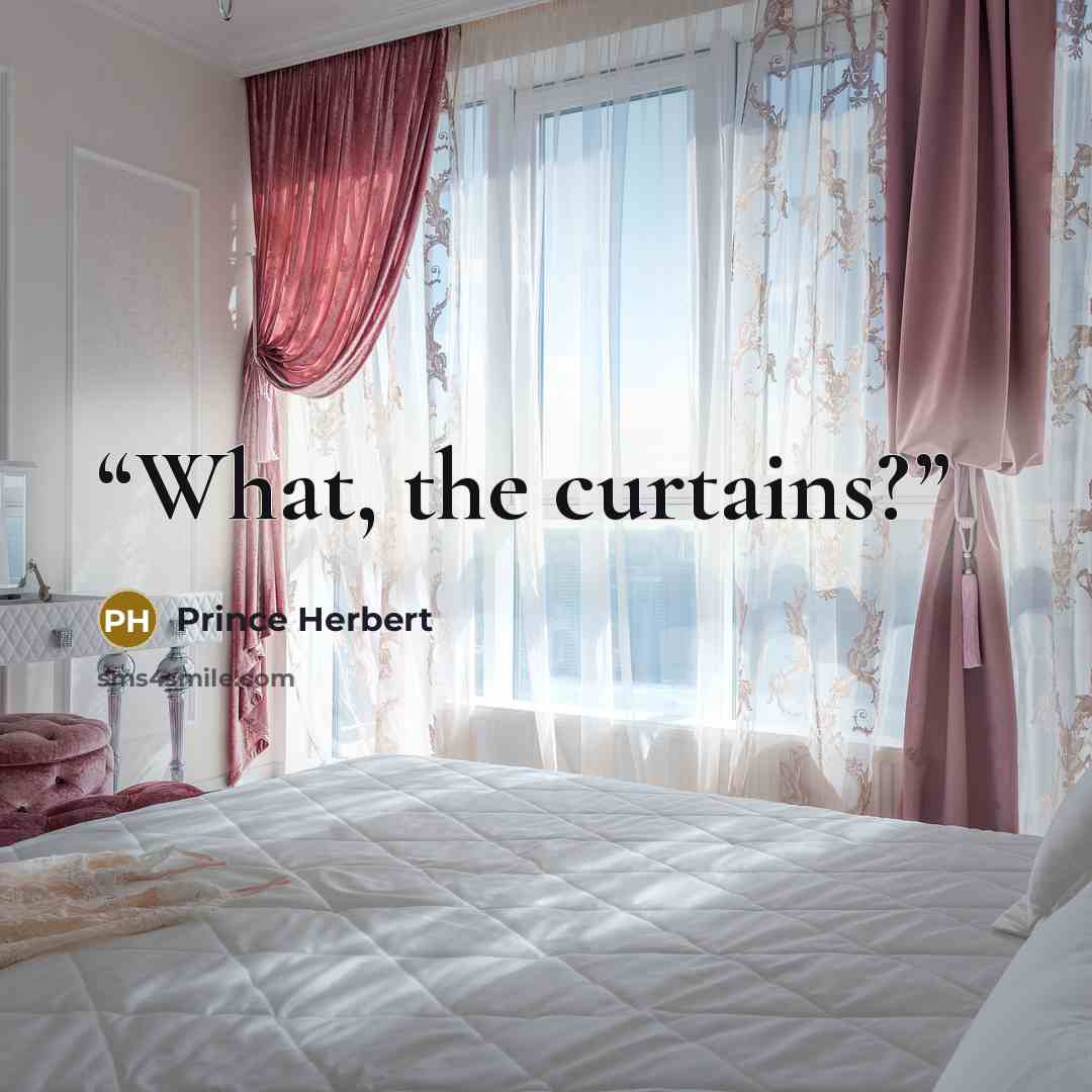 “What, the curtains?” quote by Prince Herbert