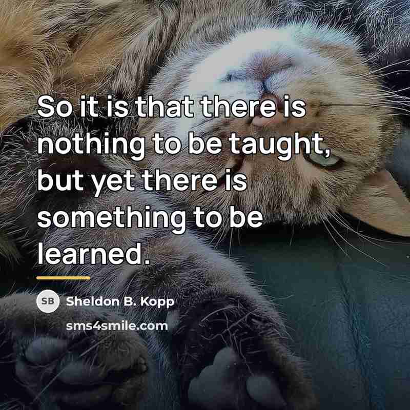 “So it is that there is nothing to be taught,…” quote by Sheldon B. Kopp