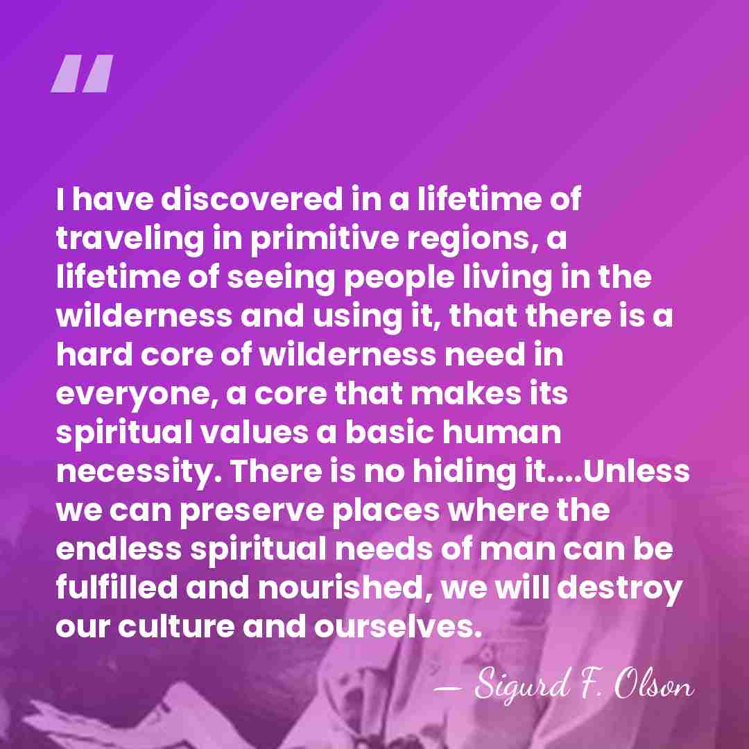 I have discovered in a lifetime of traveling in primitive regions, a&hellip; - Sigurd F. Olson