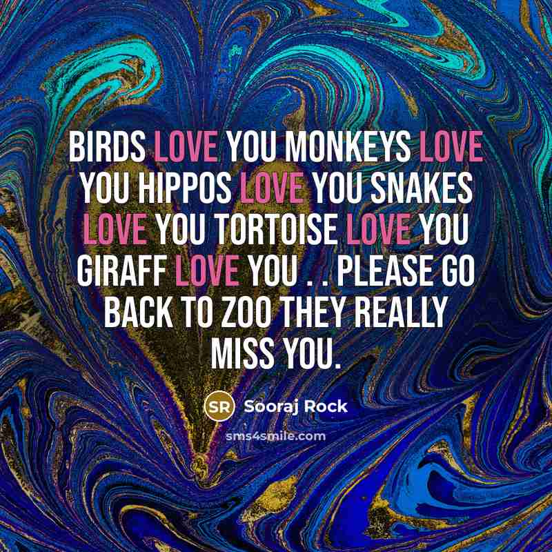 “Birds love you monkeys love you hippos love you snakes…” quote by Sooraj Rock