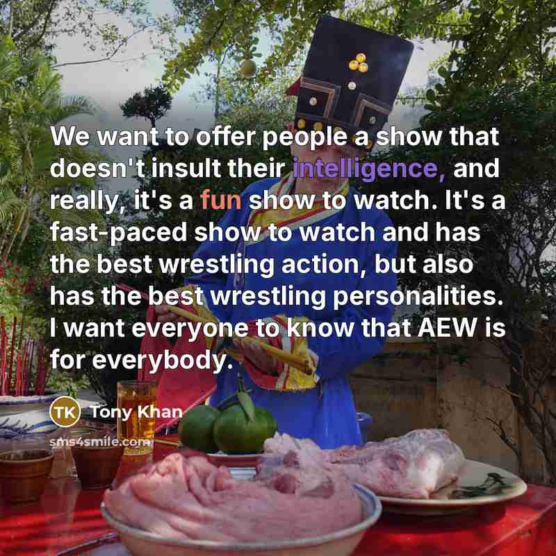 “We want to offer people a show that doesn't insult…” quote by Tony Khan