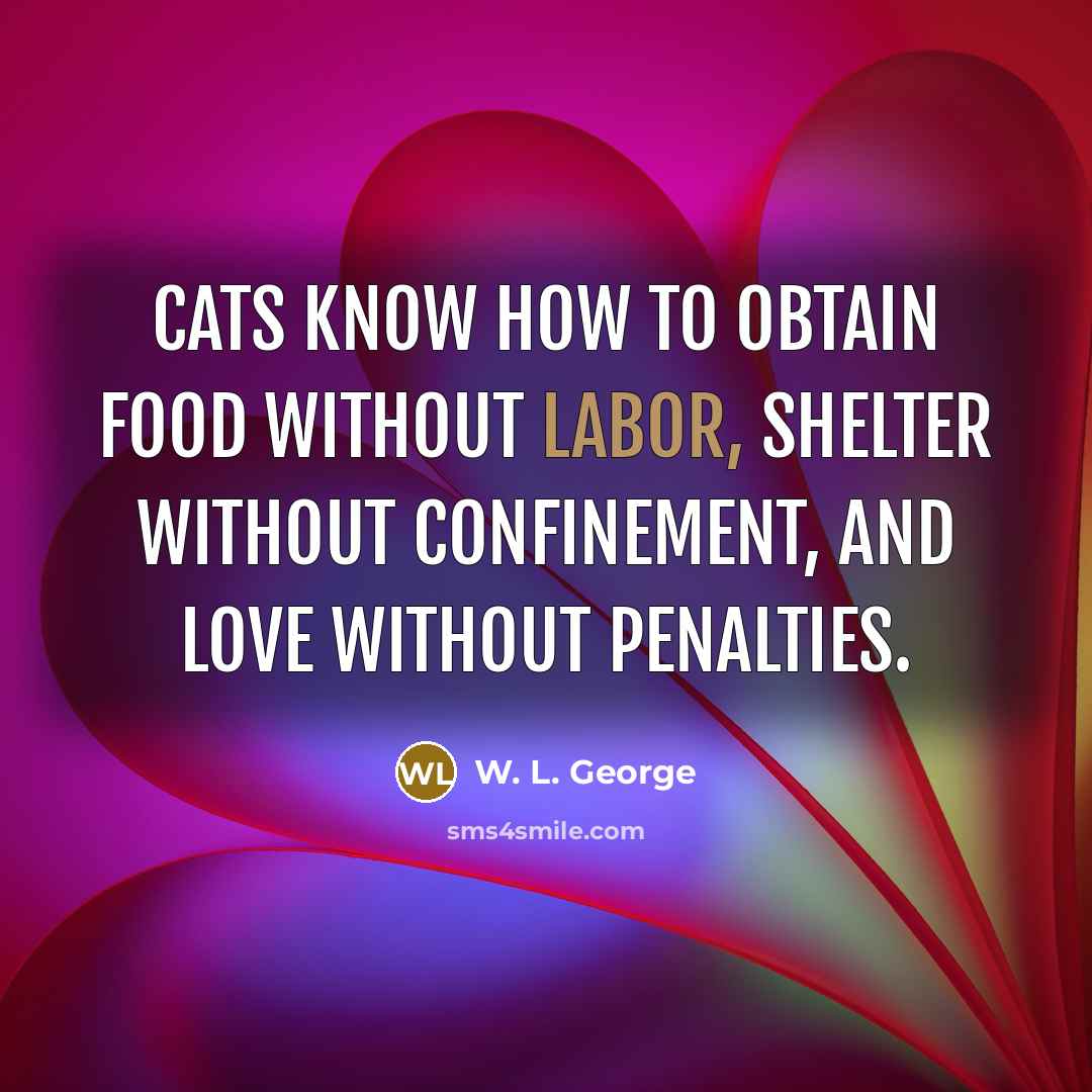 “Cats know how to obtain food without labor, shelter without…” quote by W. L. George