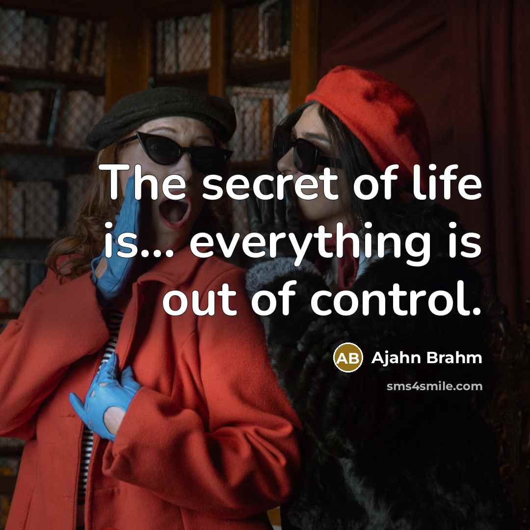 “The secret of life is... everything is out of control.” quote by Ajahn Brahm