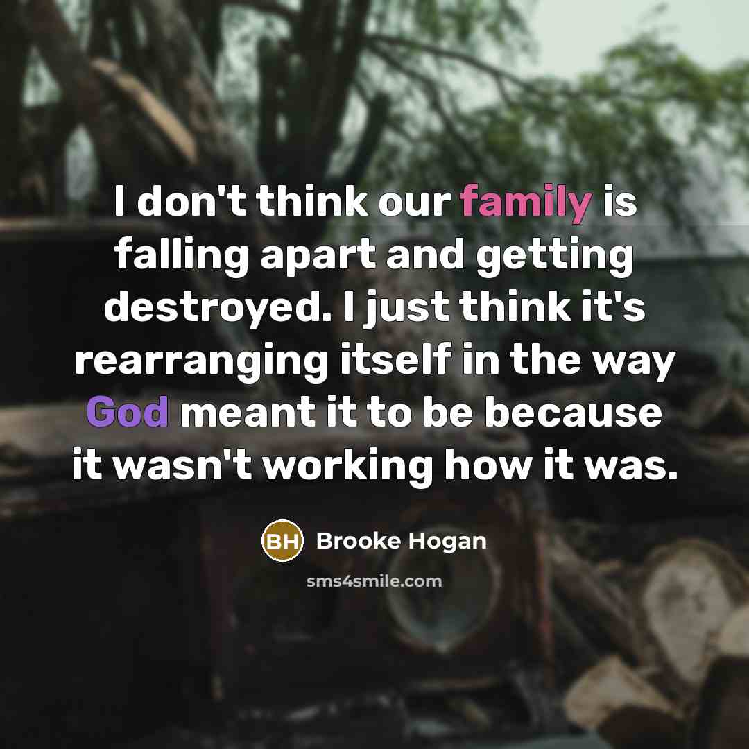 “I don't think our family is falling apart and getting…” quote by Brooke Hogan
