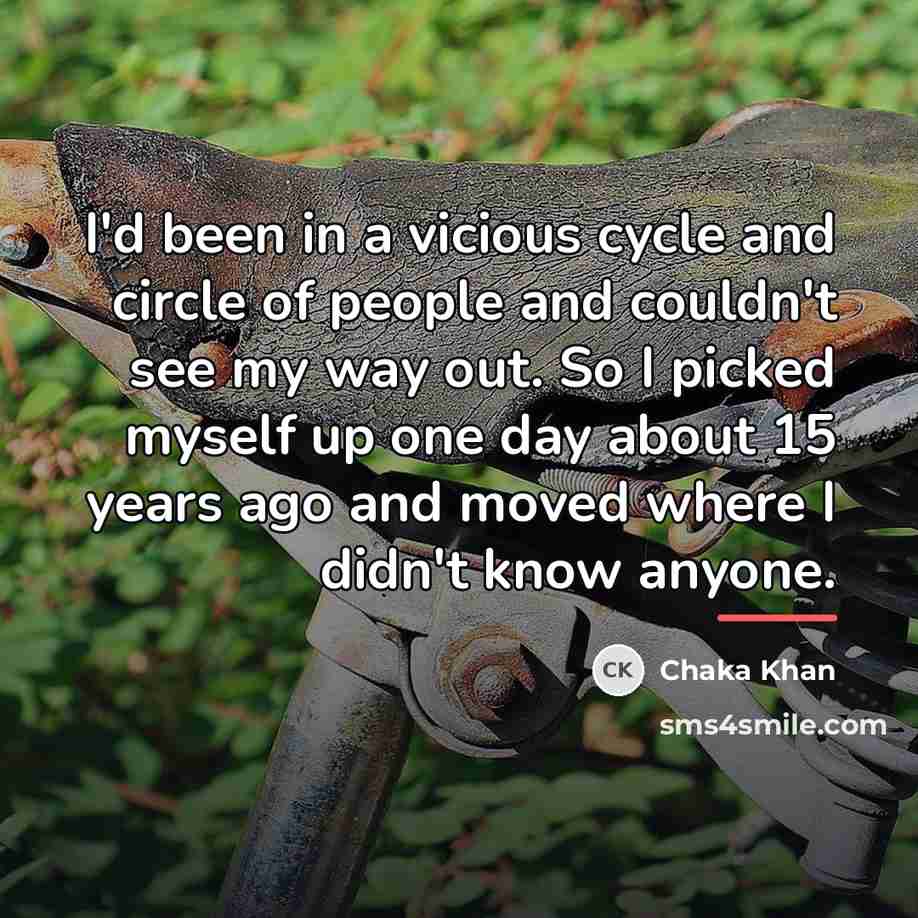 “I'd been in a vicious cycle and circle of people…” quote by Chaka Khan