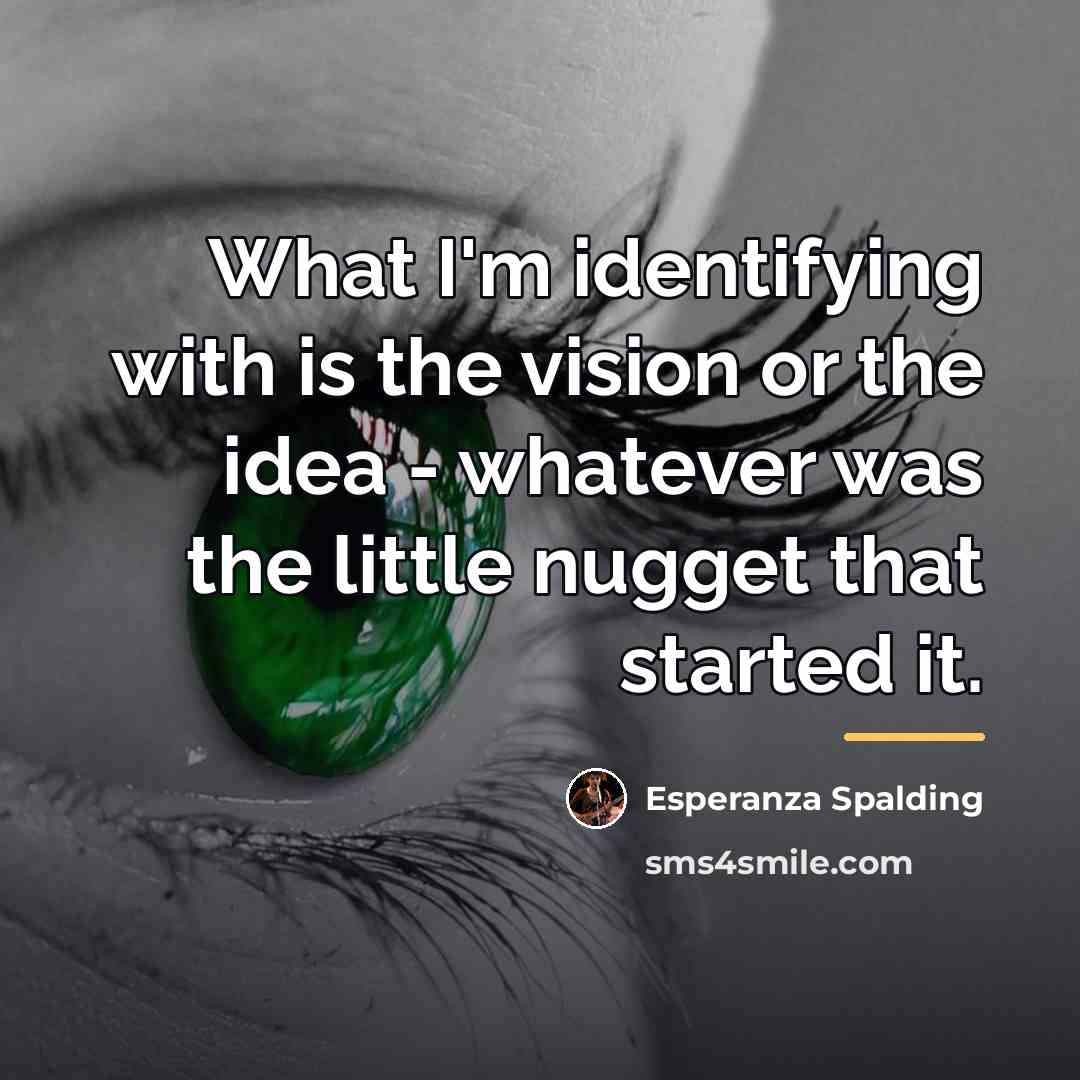 “What I'm identifying with is the vision or the idea…” quote by Esperanza Spalding