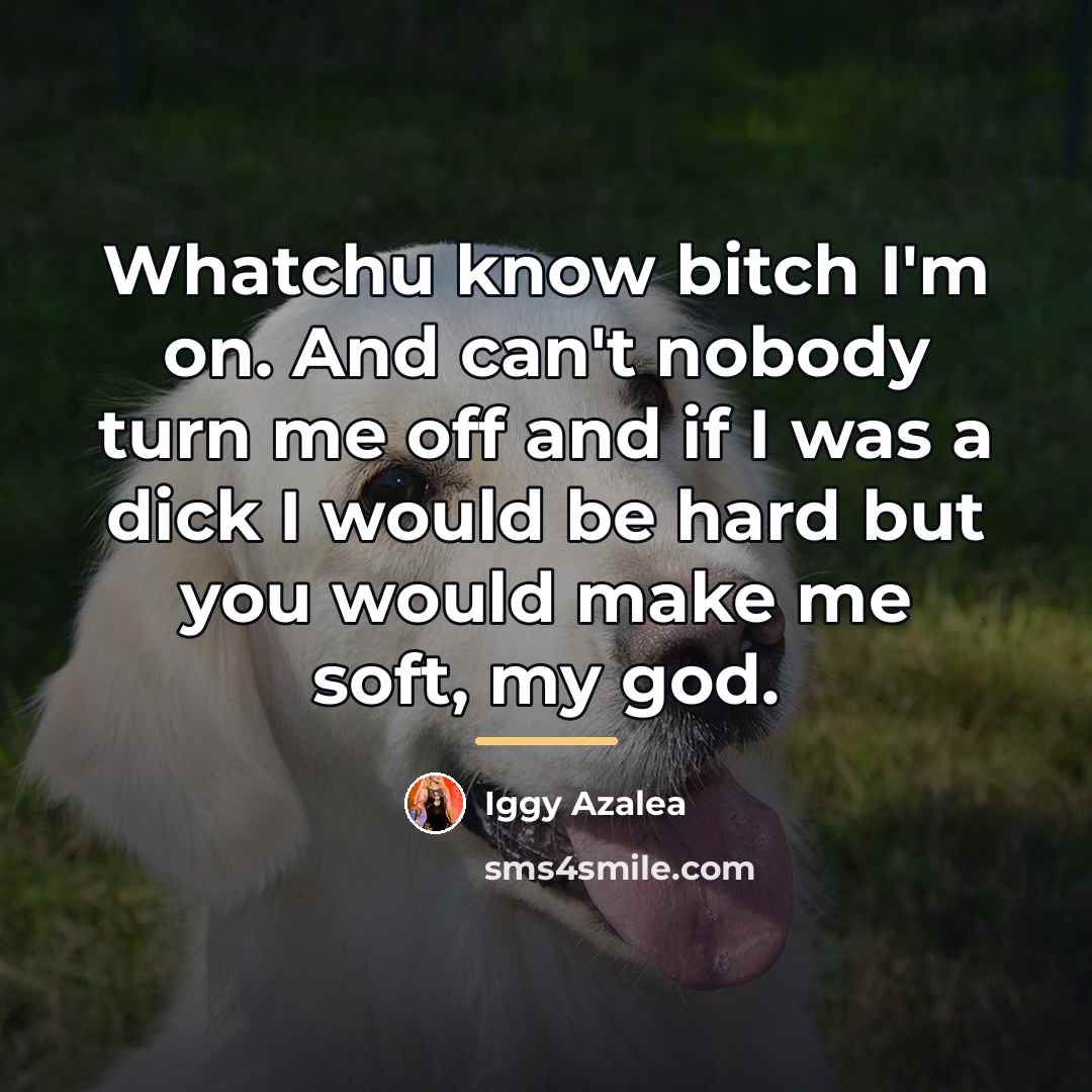 “Whatchu know bitch I'm on. And can't nobody turn me…” quote by Iggy Azalea